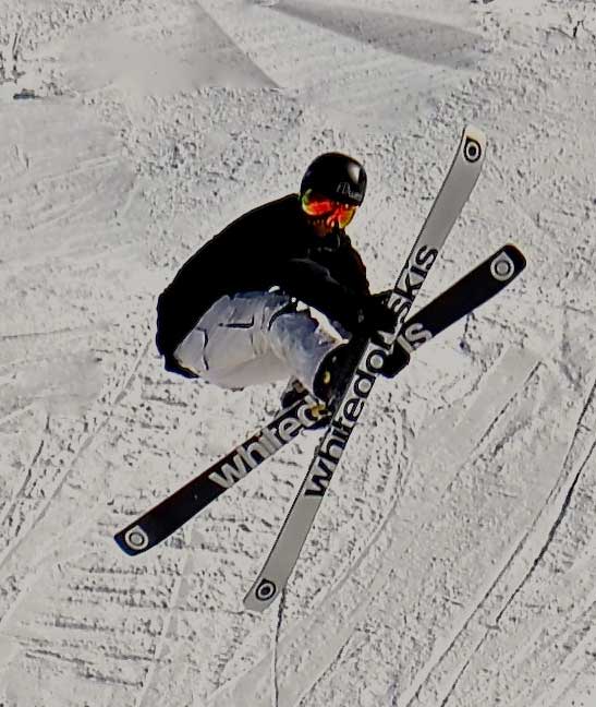 フリースタイル スキー板